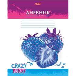*Дневник 5-11 кл. 48л. "Crazy Berry" 48Д5В_11141